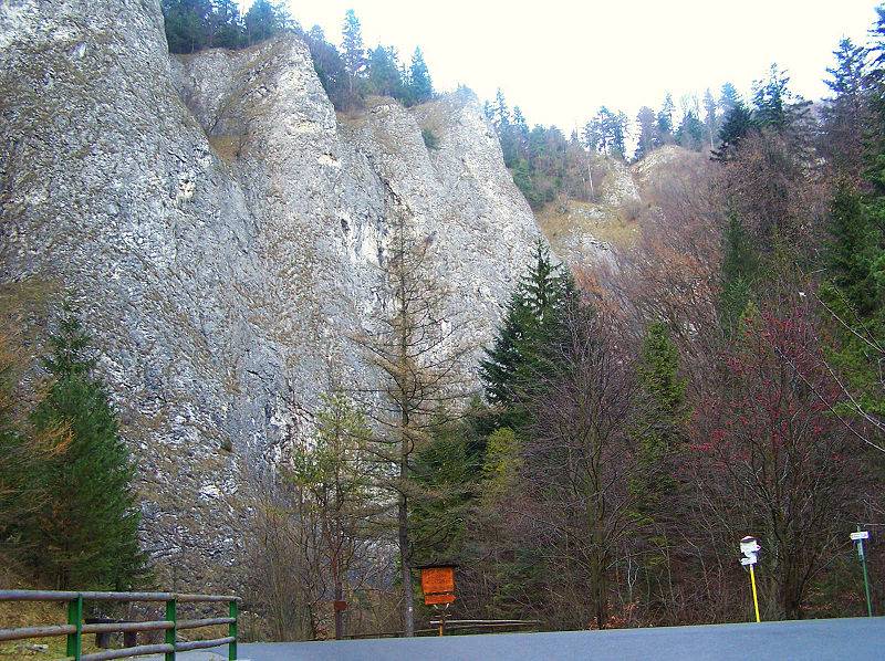 Widok z Drogi Pienińskiej na drogę do Leśnicy a nad nią skała Wylizana, źródło: wikimedia